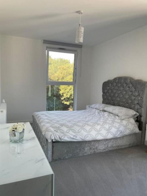 Spacious Apartment in the Heart of Chelmsford